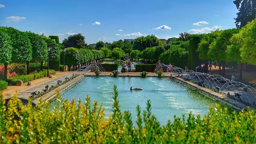Alojamiento de Patios