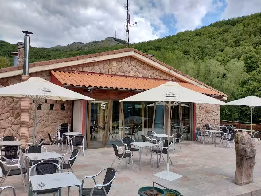 Camping Bosque de Gord&oacute;n