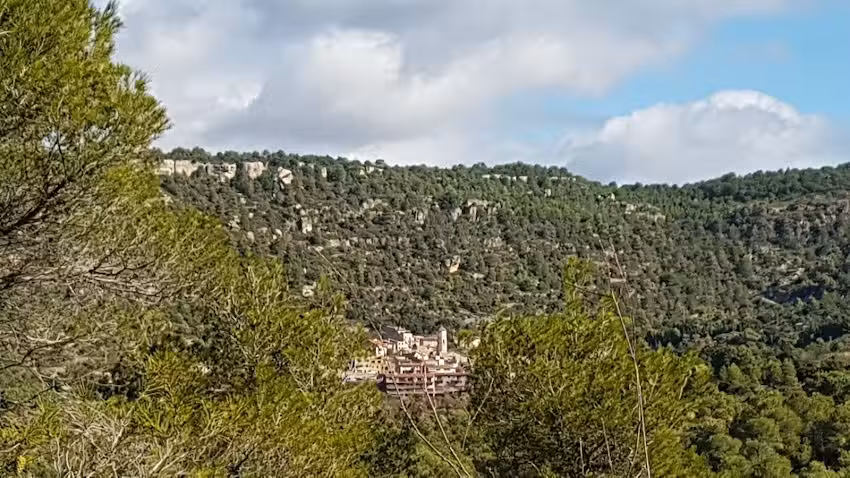 El Refugi D&rsquo;Arbol&iacute;