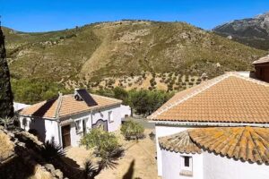 Harmony Home Wellness