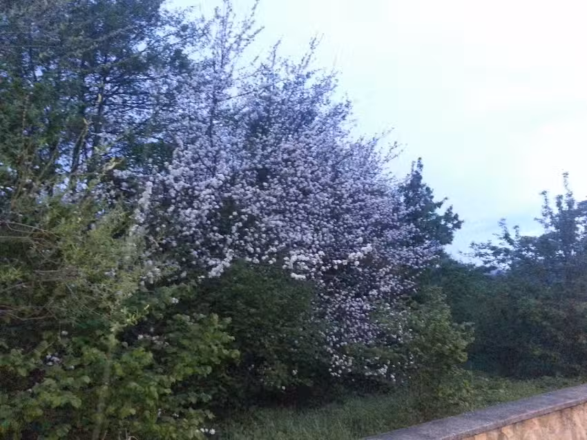 Hostal Residencia Asparrena