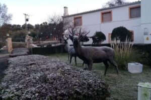 Nuevo Complejo Los Azores