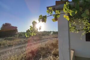 Refugio “Carramoya”.