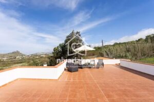 Tegas: Tacoronte, by Nivariahost