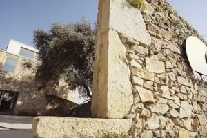 TheCampDoniños – A Coruña