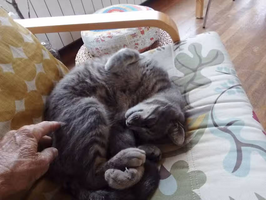 Villa Sitges Mas Mestre